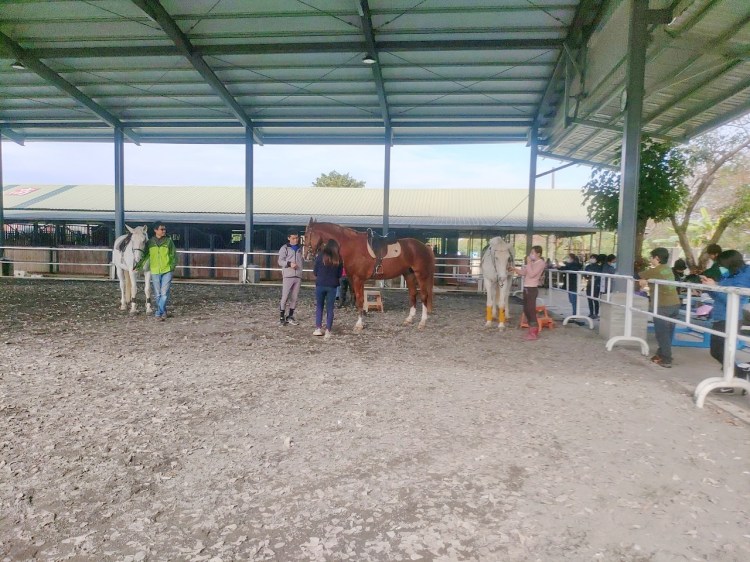 騎馬射箭體驗活動