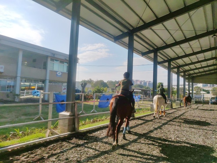 騎馬射箭體驗活動