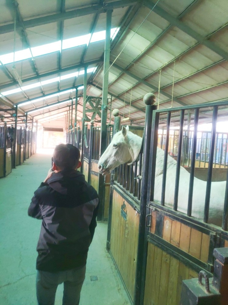 騎馬射箭體驗活動