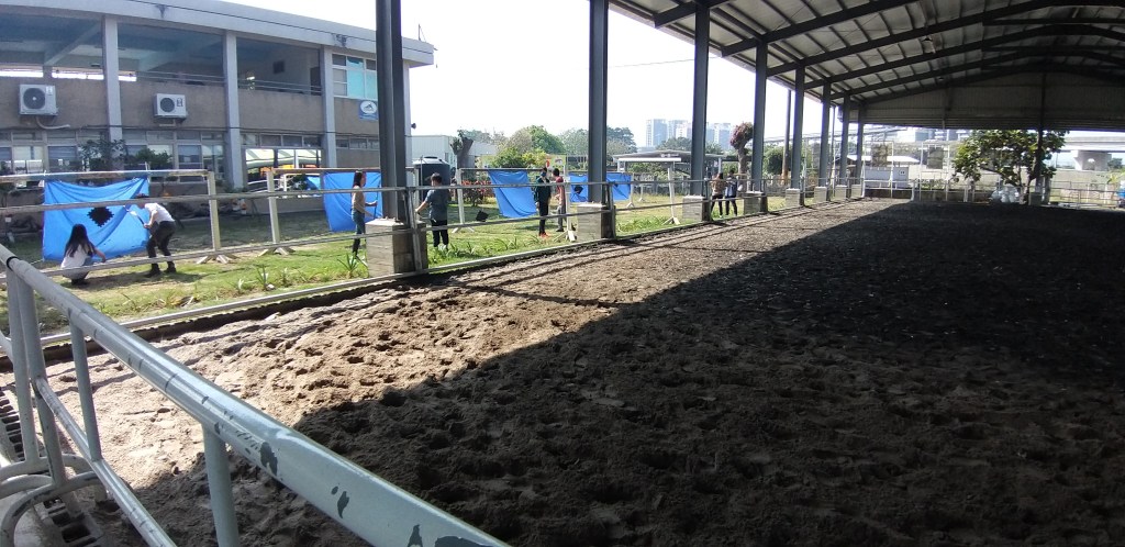 高雄騎馬射箭體驗活動