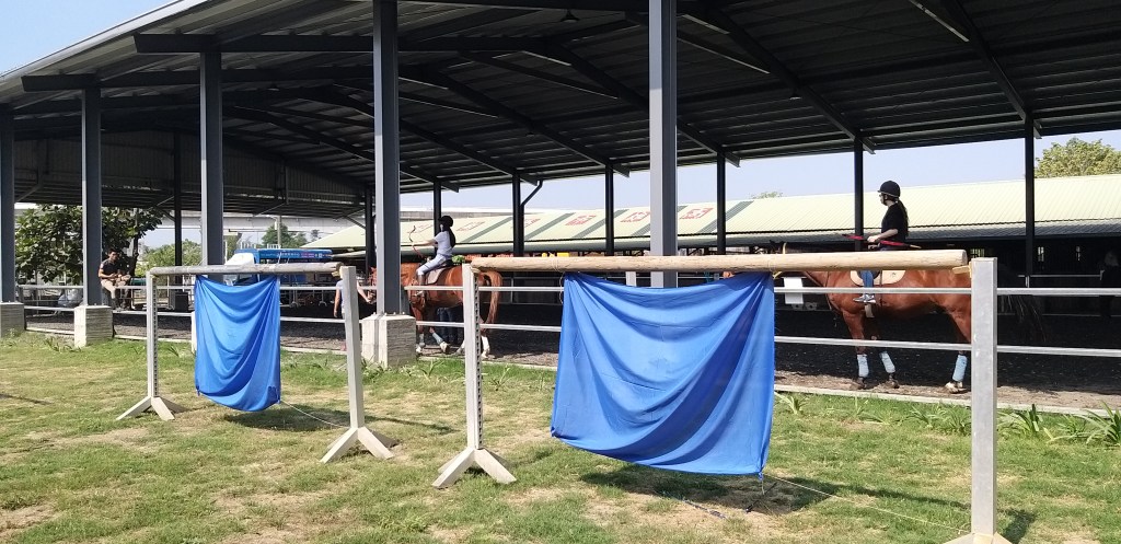 高雄騎馬射箭體驗活動