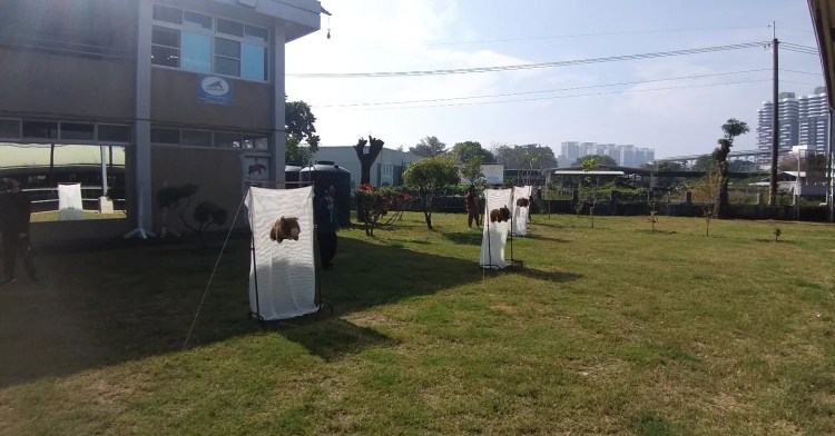 Archer Space 主辦高雄騎馬射箭體驗活動